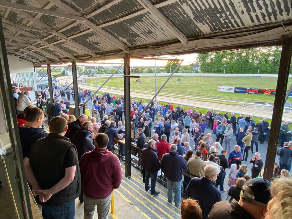 Kilkenny Greyhound Stadium Dog Track Co. Kilkenny